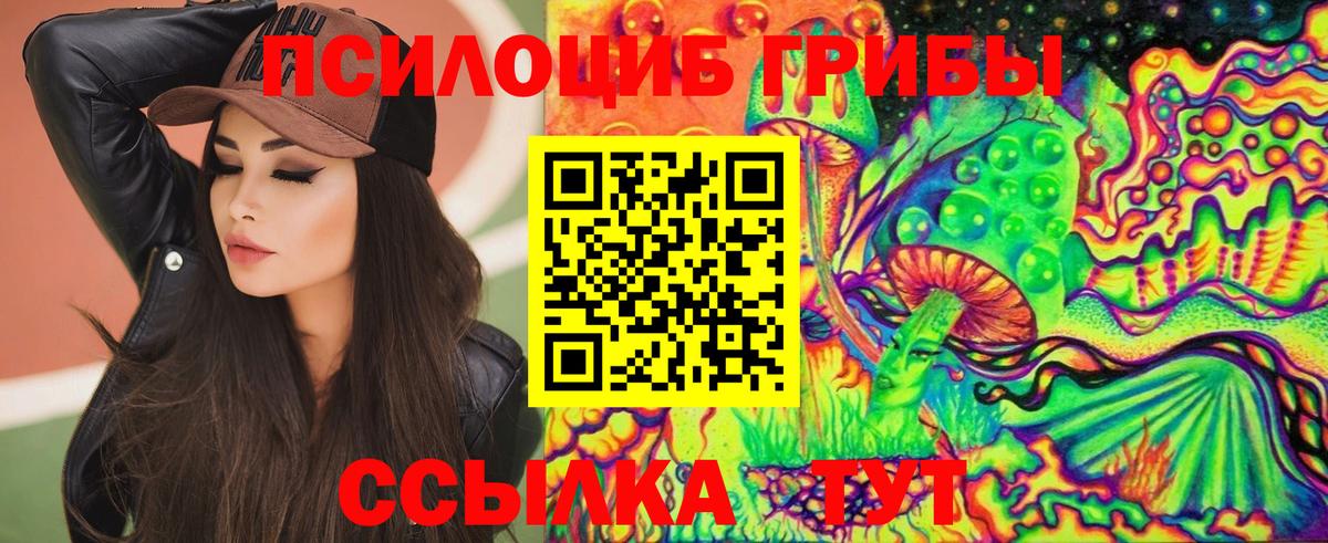 Медногорск  Псилоцибиновые грибы Cubensis  Псилоцибиновые грибы Cubensis  Вход с VPN 